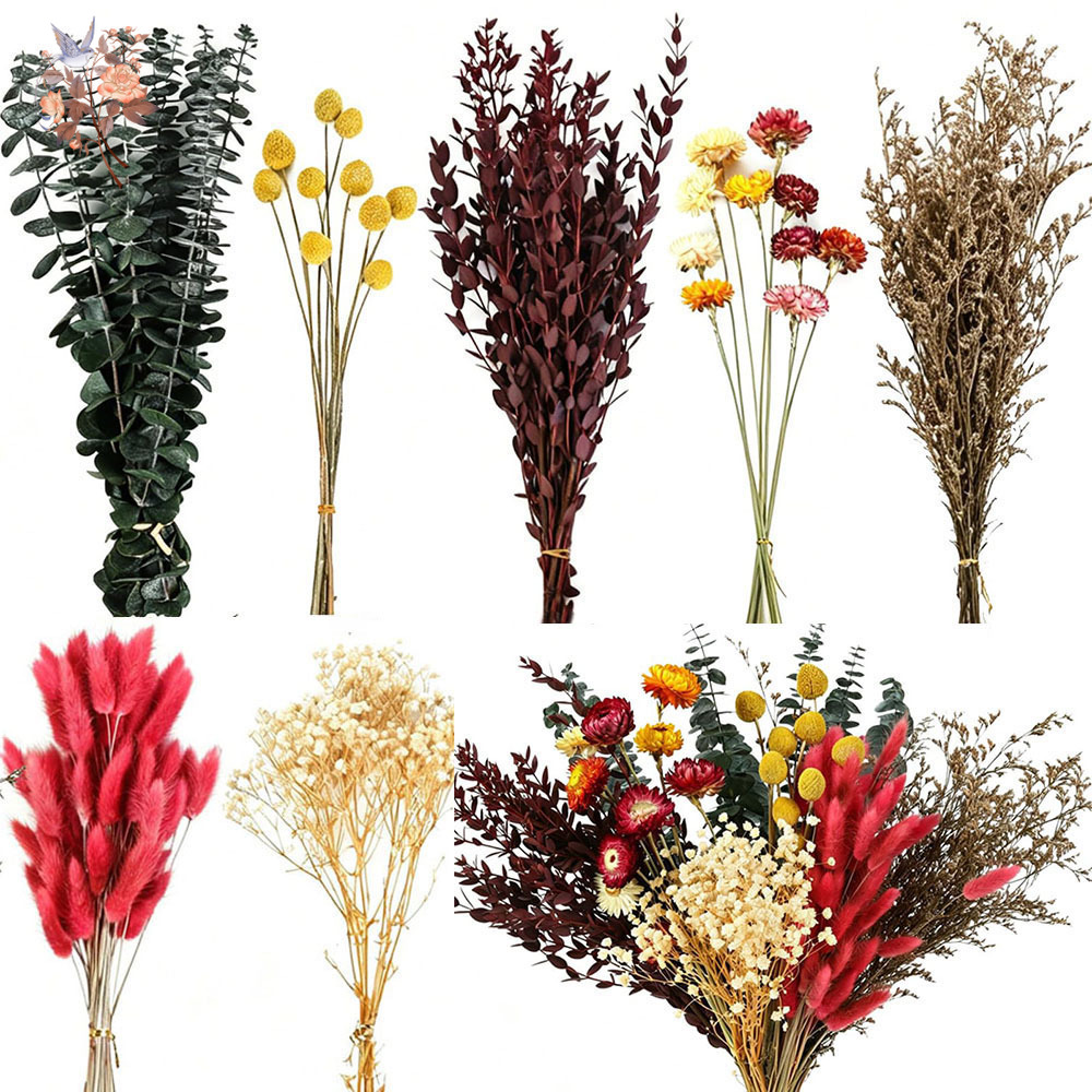Dried Flowers Bulk Set 7 Kinds - Florist Supply Bulk ulasan dan harga