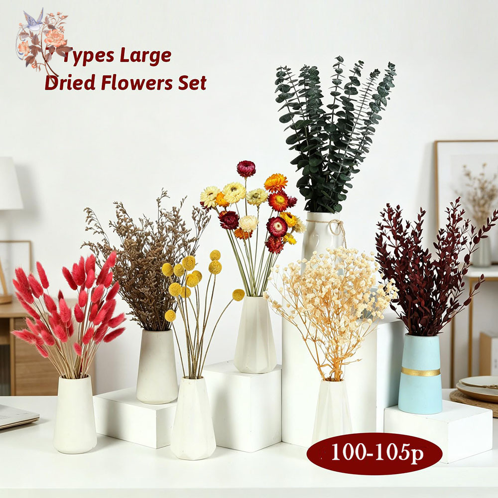 Dried Flowers Bulk Set 7 Kinds - Florist Supply Bulk ulasan dan harga