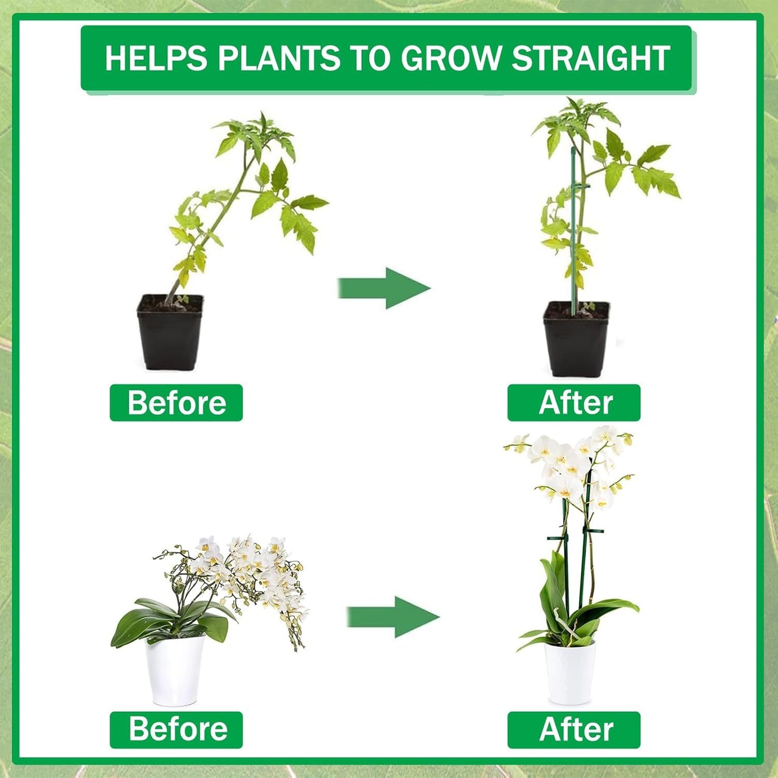 Plant Supports Rod Single Stem - Florist Supply Bulk ulasan dan harga