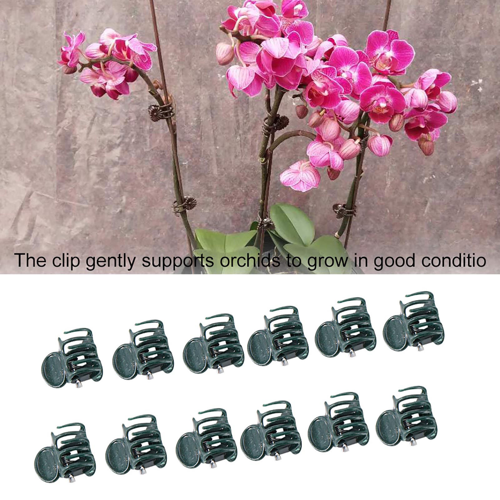 100pcs Mini Plant Clips Garden - Florist Supply Bulk ulasan dan harga