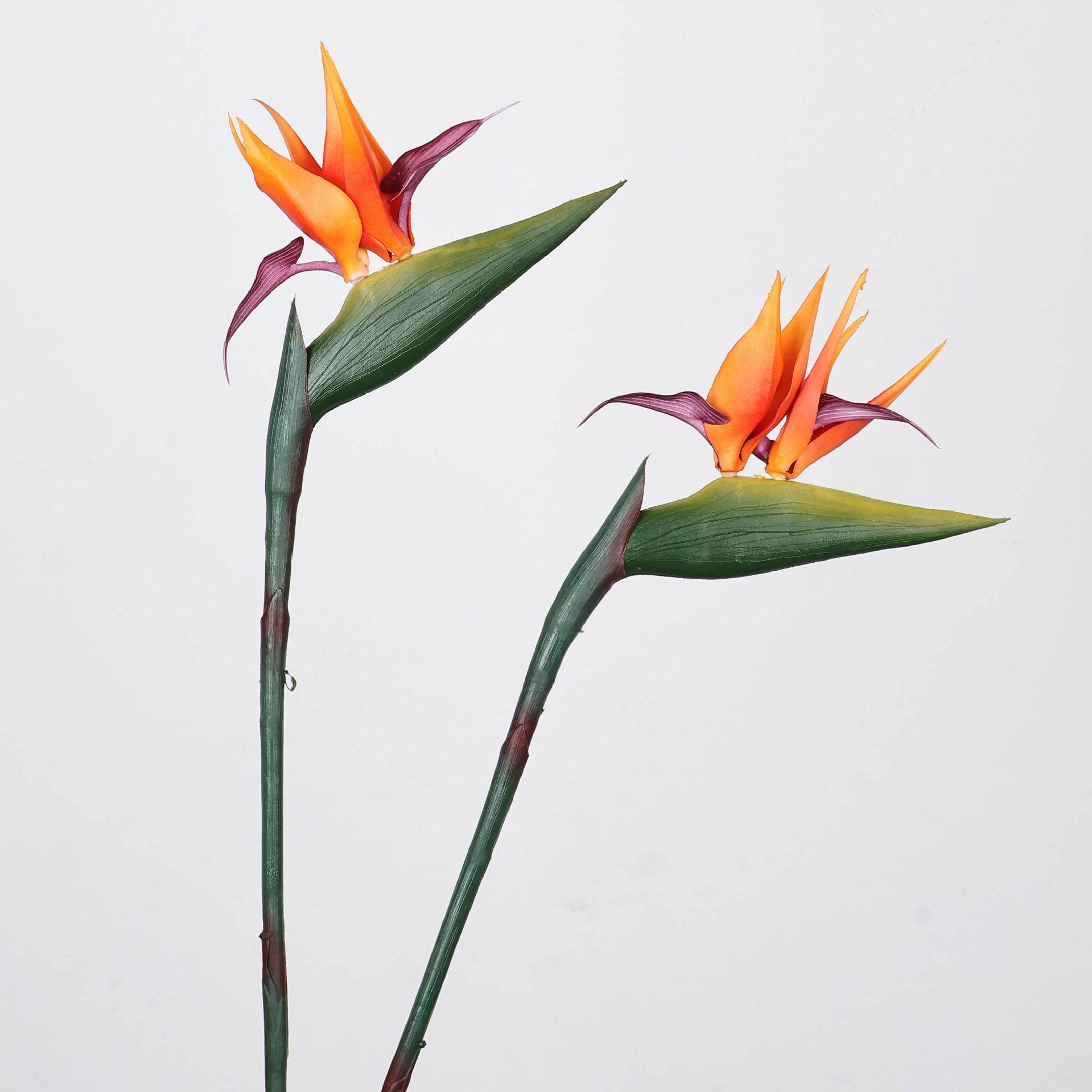 33 Inch Artificial Bird Of Par - Florist Supply Bulk ulasan dan harga