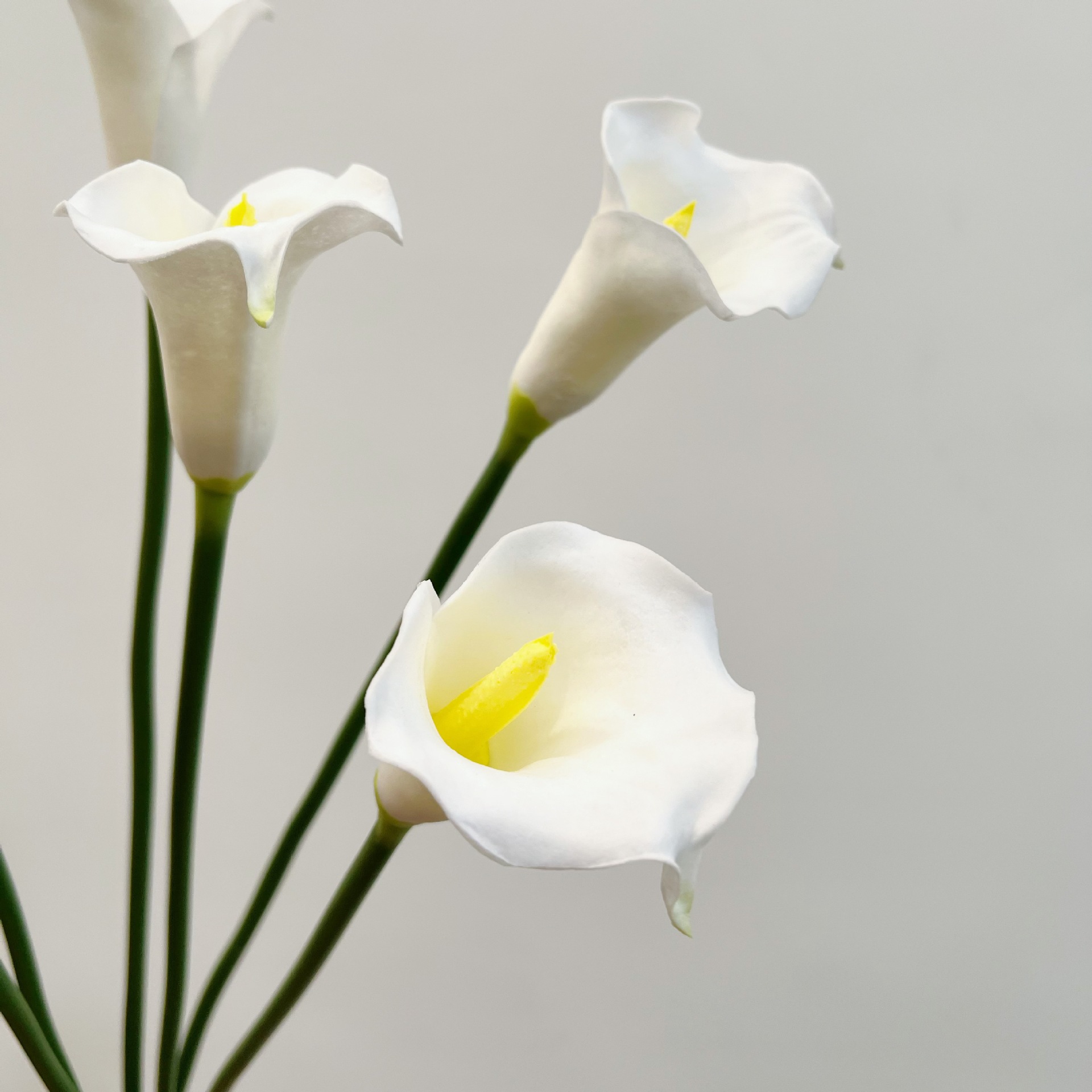 26 Inch Single Stem Crescent C - Florist Supply Bulk ulasan dan harga