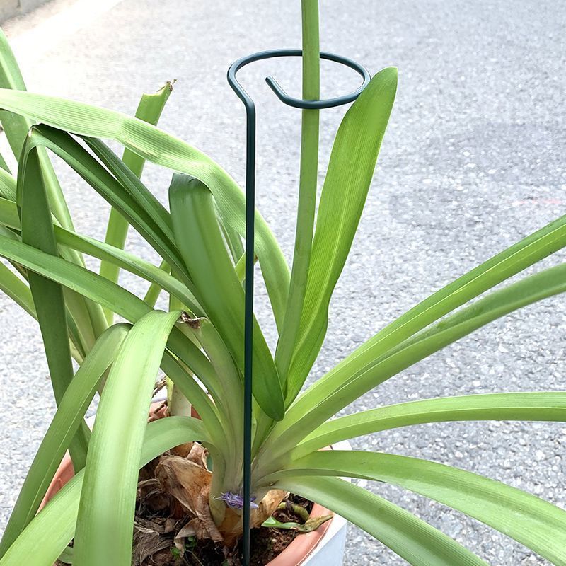 1-10pcs Metal Single Stem Plan - Florist Supply Bulk ulasan dan harga