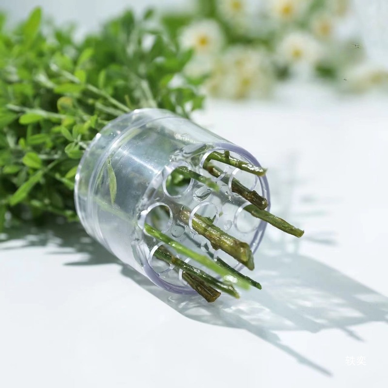 Spiral Stem Holder Sturdy Clea - Florist Supply Bulk ulasan dan harga